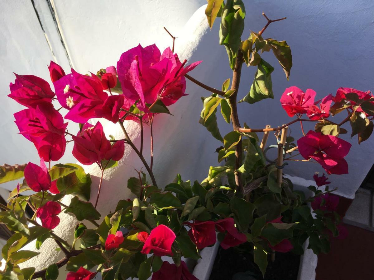 Casa As Gaivotas *